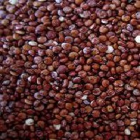 Quinoa vörös 1kg